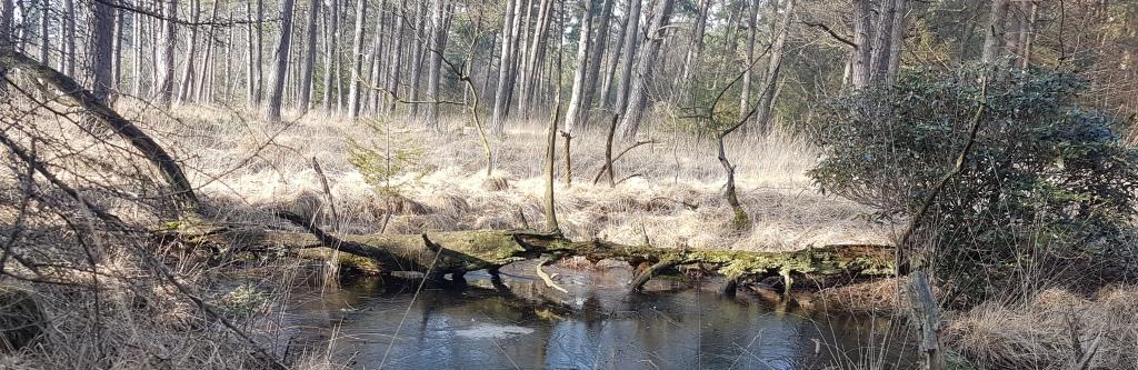 Landgoed-Junne_1_300br